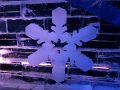 Kids_ICE-2017 (36)